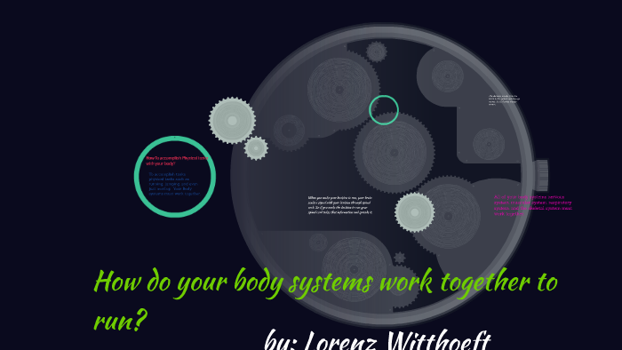 how-do-your-body-systems-work-together-to-run-by-lorenz-witthoeft