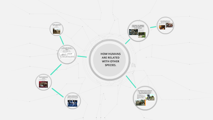 HOW HUMANS ARE RELATED WITH OTHER SPECIES. by Nicolas Medina