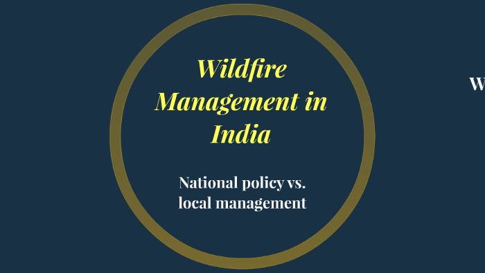 joint-forest-management-in-india-an-assessment