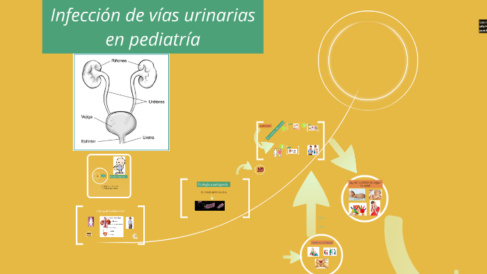 infección de vías urinarias (IVU) en niños by Heydi Alvarado Villamar