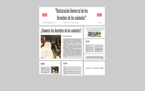 "Declaración Universal De Los Derechos De Los Animales" By Raiza Pacheco