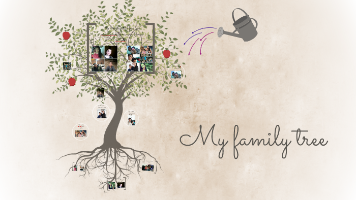 My family tree by sebastian steven garcia alzate on Prezi