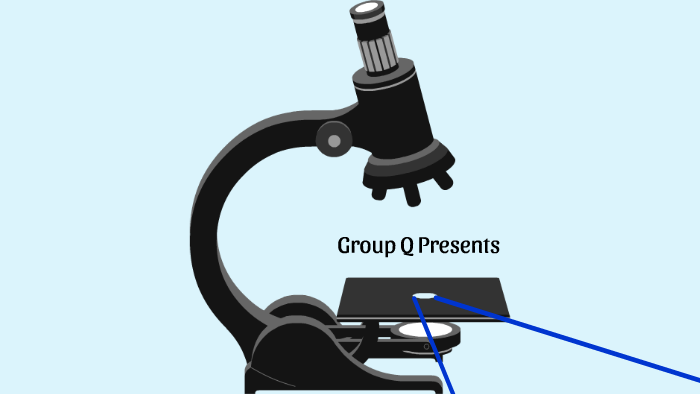 BIOL 102 Group Q Part 1 By Eileen Tang