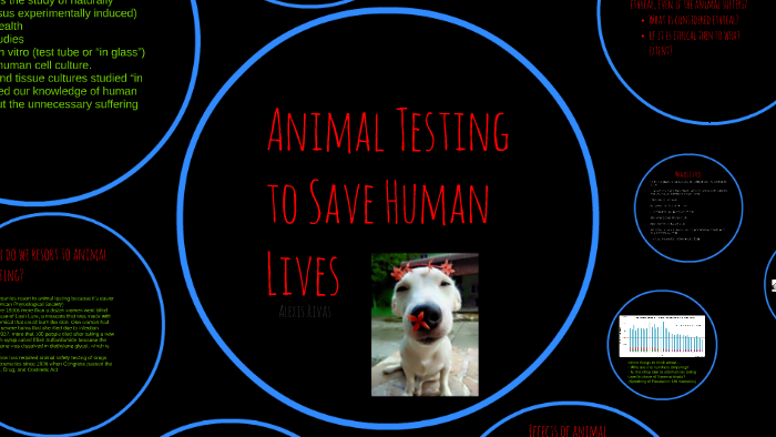 Animal Testing to Save Human Lives by alexis rivas
