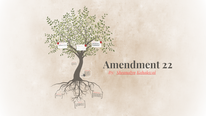 amendment 22