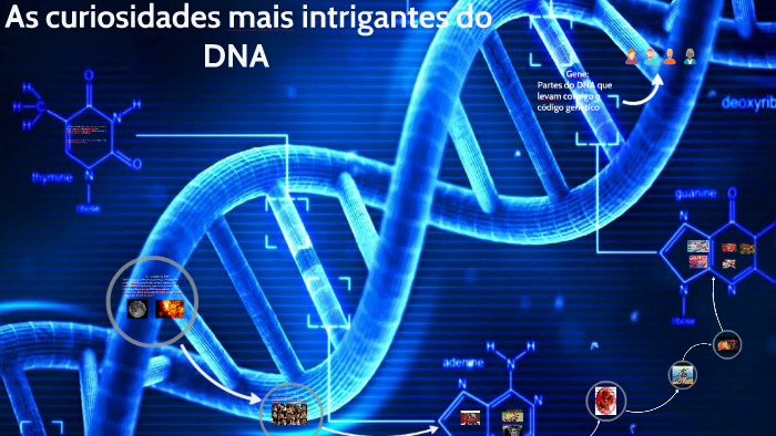 trabalho de ciências - as curiosidades do DNA by caio carnieri