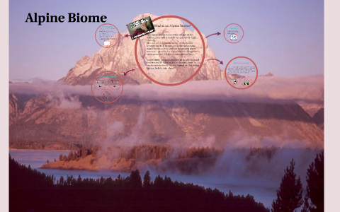 Alpine Biome by Isabel Conde