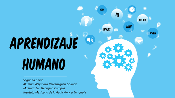 Teorías del aprendizaje 2 by Alejandra Pereznegron Galindo on Prezi