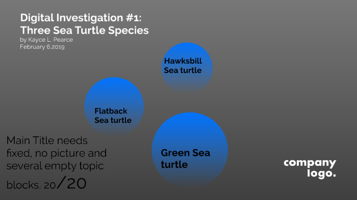 Sea Turtles by Kayce Pearce on Prezi