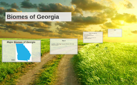 Discover The Biomes Of Georgia A Journey Through Nature - 5r6jru8