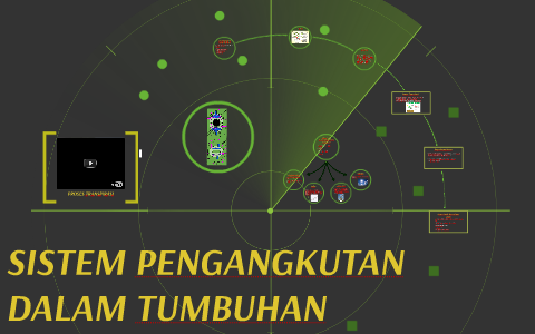 Sistem Pengangkutan Dalam Tumbuhan By Group 6