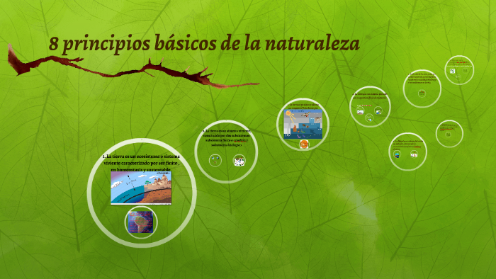 8 principios básicos de la naturaleza by lino asael