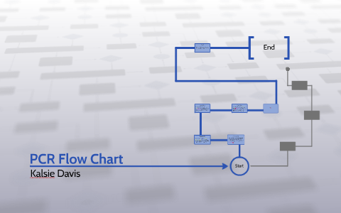 Pcr Flow Chart