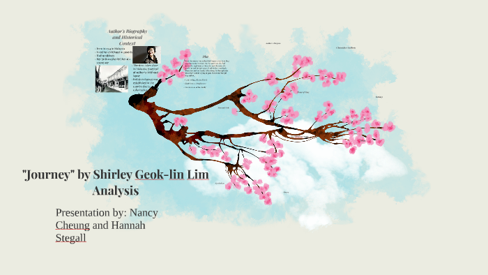 summary of journey by shirley geok lin lim