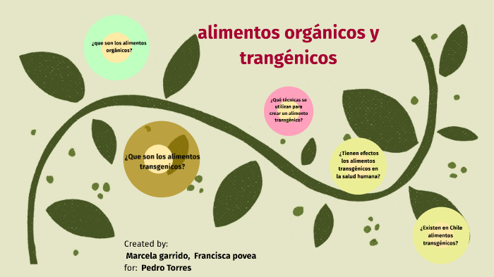 alimentos orgánicos y transgenicos by marcela Garrido Escobar on Prezi