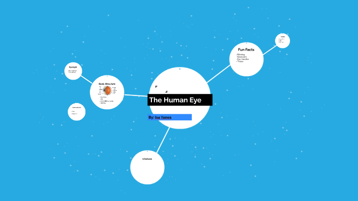 The Human Eye by isa yanes on Prezi
