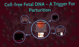 prezi