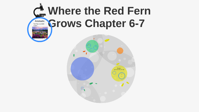 Where the Red Fern Grows Chapter 6-7 by Betsy Max on Prezi ...