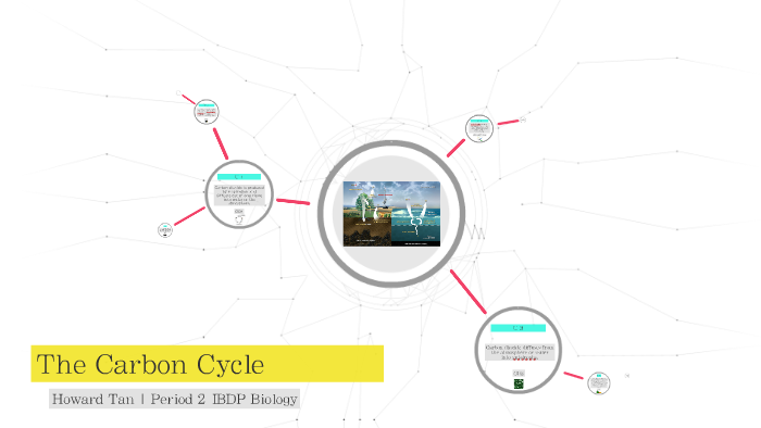 The Carbon Cycle by Howard Tan on Prezi