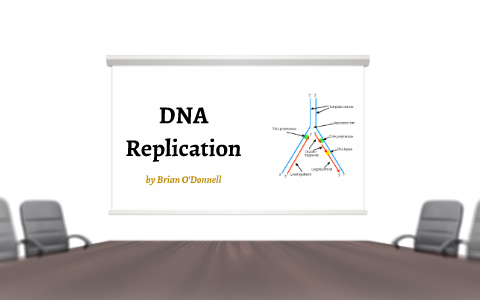 DNA Replication by Brian O'Donnell on Prezi