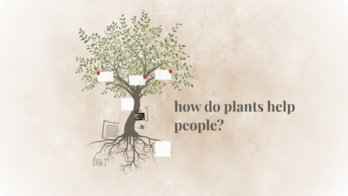 how-do-plants-help-people-by-luke-chastain