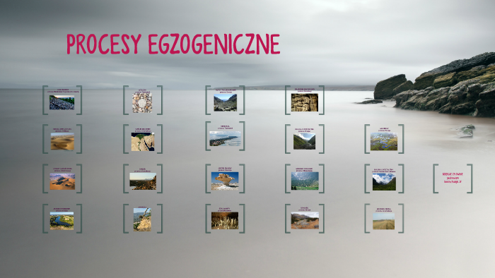 PROCESY EGZOGENICZNE by Benia Malejki on Prezi