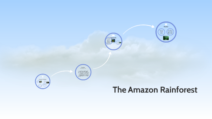 The Amazon Rainforest by Phil Perez on Prezi