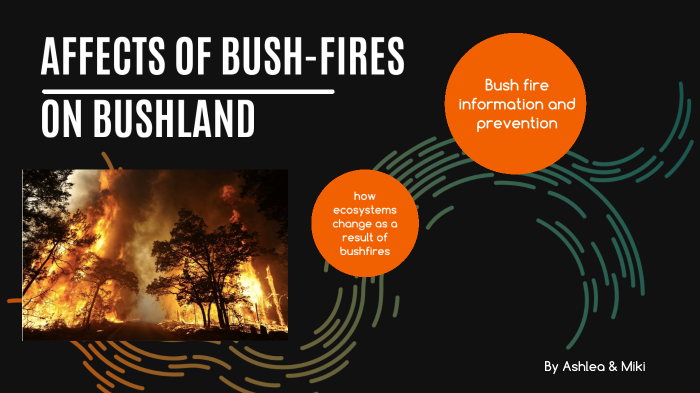 fire effects on the environment by Ashlea McGregor on Prezi