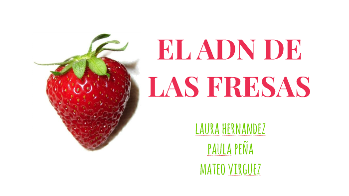 extracción de adn de fresas