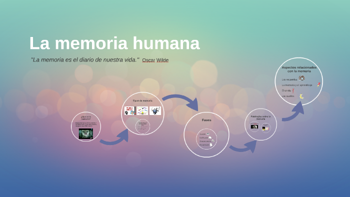 La Memoria Humana By Vianin Sapusa 6190