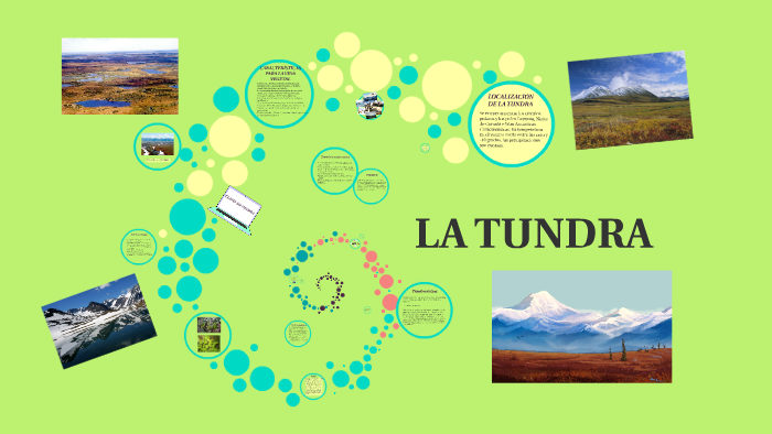 mapa del bioma de la tundra ártica y alpina