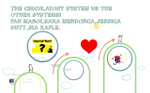 The Circulatory System Vs The Other Systems By Sia Kafle On Prezi