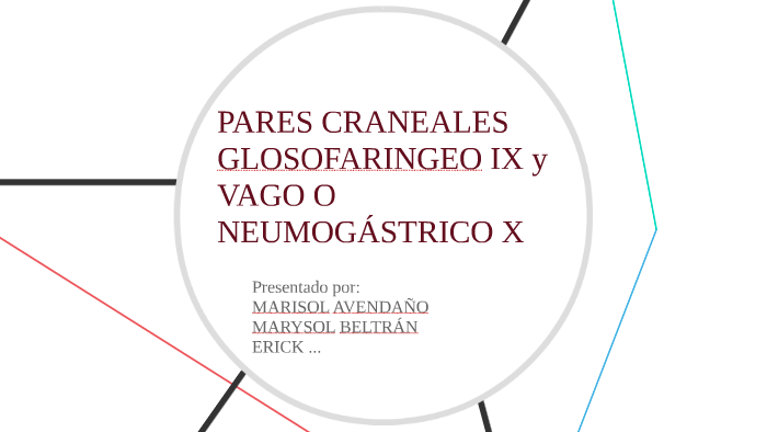 Pares Craneales Ix Glosofaringeo Y X Vago O Neumogástrico By Marysol