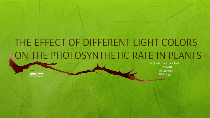 why is it important to study photosynthetic rate of plants