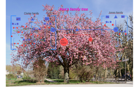 Ana's family tree by Ana Clarke on Prezi