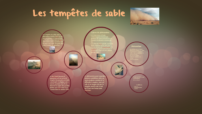 Les Tempêtes De Sable By Florence Emard