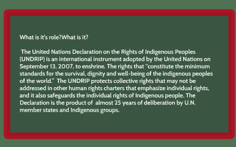 Declaration on the Rights of Indigenous People by Griffin Donnelly