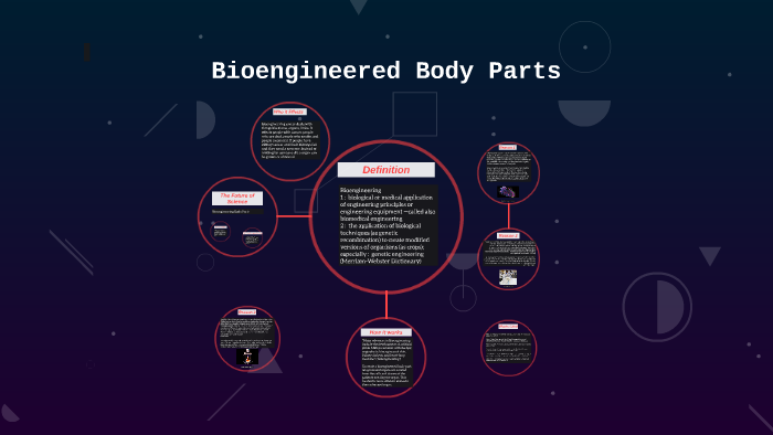 Bioengineered Body Parts by Mrs Backer