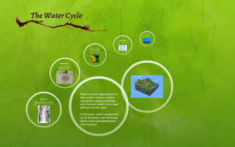 The Water Cycle by Hannah Sands on Prezi