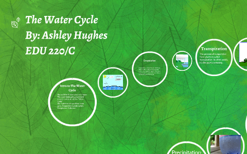 The Water Cycle by Ashley Hughes on Prezi