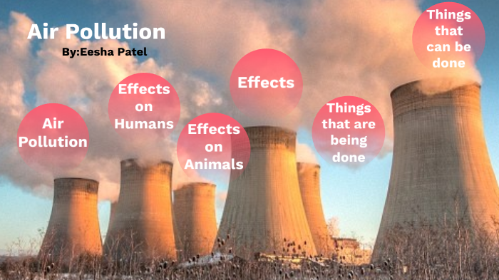 air pollution by Eesha Patel on Prezi