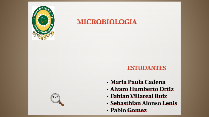 POTENCIAL BIOFERTILIZANTE DE BACTERIAS DIAZOTROFAS AISLADAS by on Prezi