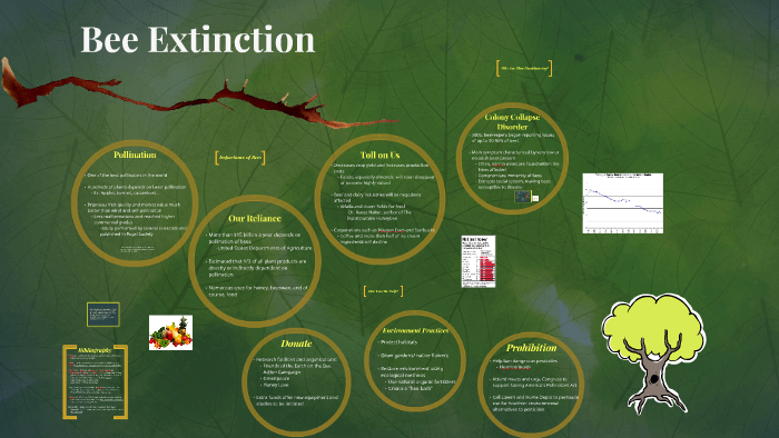 bee extinction experiment