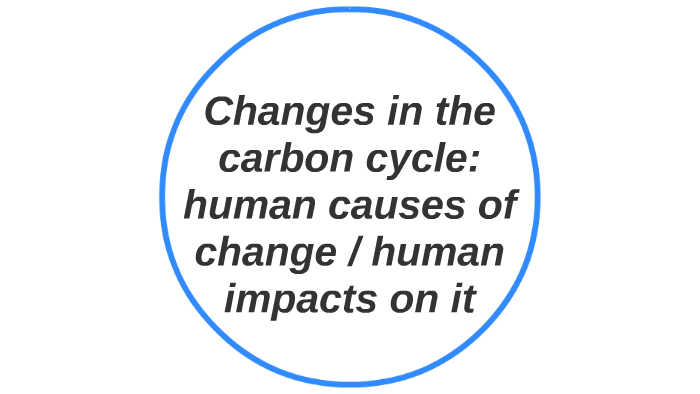 Changes in the carbon cycle: human causes by dawn brailsford on Prezi