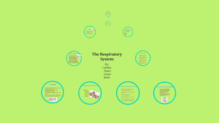 Respiratory System by on Prezi