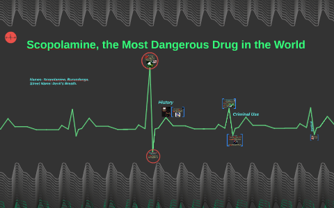 Scopolamine, the Most Dangerous Drug in the World by Jillian Girardin ...