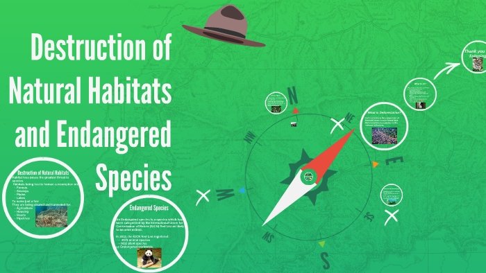 Destruction of habitats and endangered animals by Caitlin Semley on Prezi