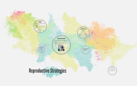 Reproductive Strategy Example Reproductive Strategies by Ryan Finnane on Prezi