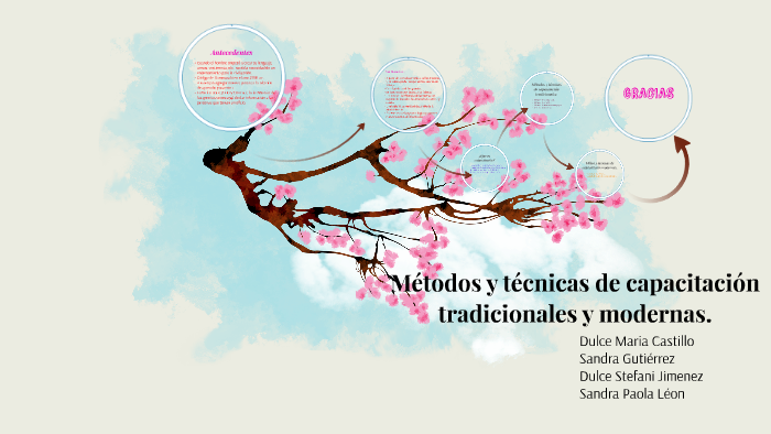 Métodos y técnicas de capacitación tradicionales y modernas. by Sandra