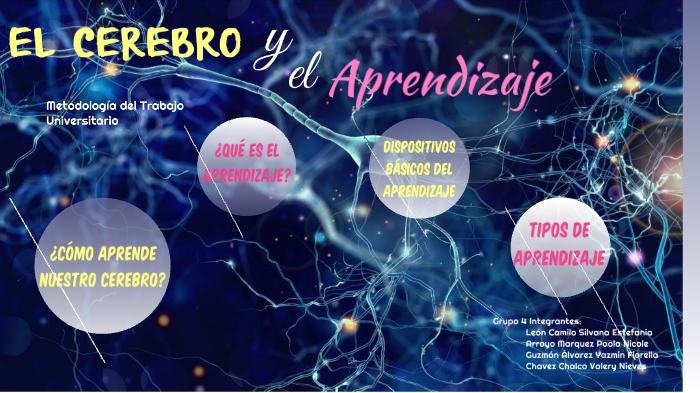 El cerebro y el aprendizaje by silvana leon camilo on Prezi